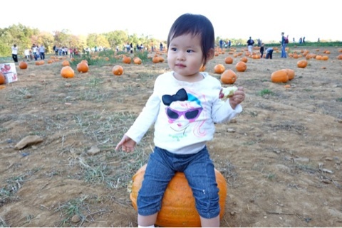 photo:01