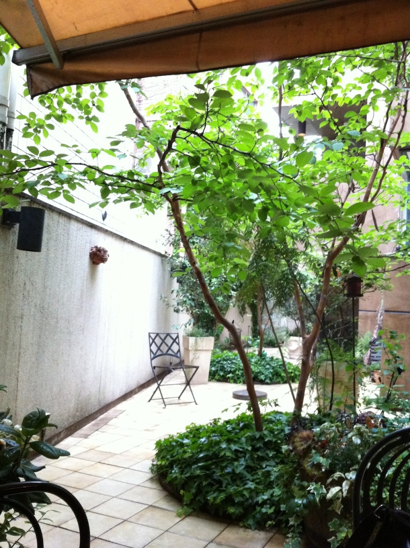 海保知里オフィシャルブログ「NYでなりゆ記」Powered by Ameba