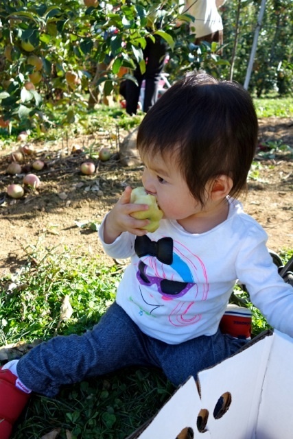 photo:05