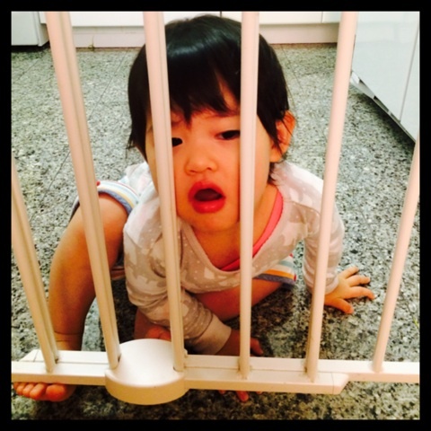 {3AC1FC1F-DC53-4E55-986C-3D6A4E0EDF5A:01}