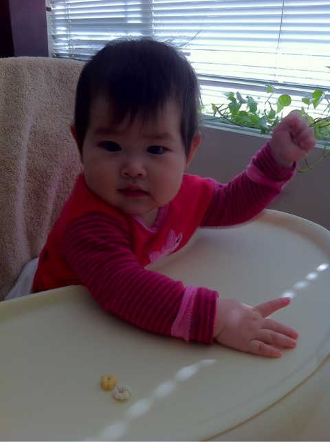 photo:04