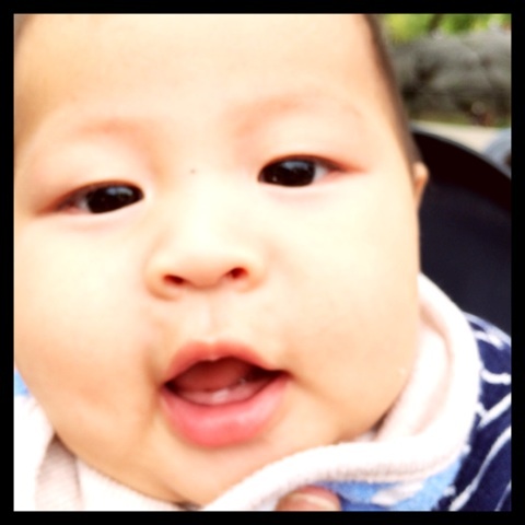 photo:01