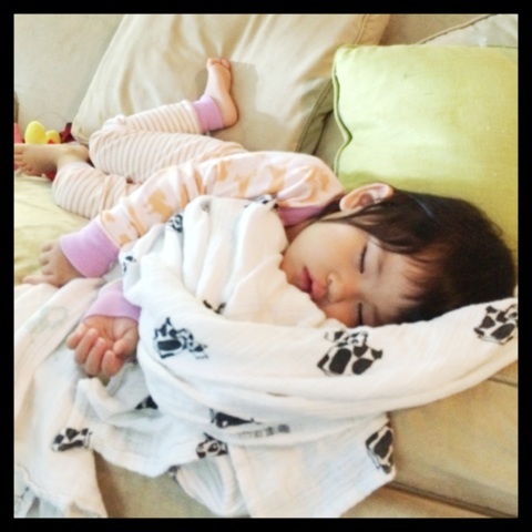 photo:01