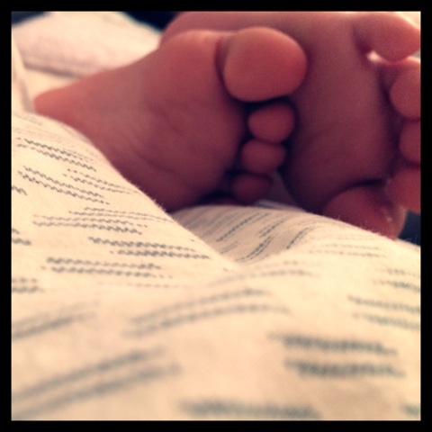 {E469E619-F42F-4E35-B9A2-8F6FFBE6D0AA:01}