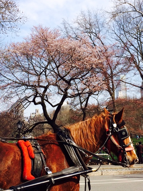 {EACB0A13-6539-4938-B152-DBDE3B919FF5:01}