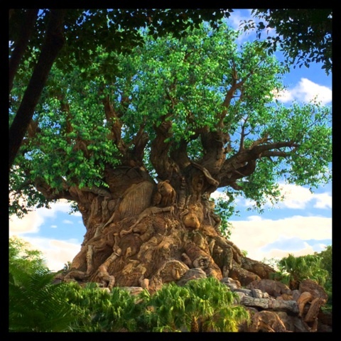 photo:06