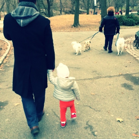 {6F7835E5-C37F-4BF2-9965-747225B23990:01}