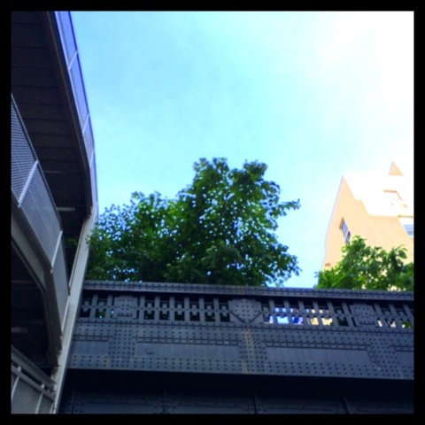 {EEA9660E-FA56-4747-9B1C-F1CC9AB2BB9F:01}