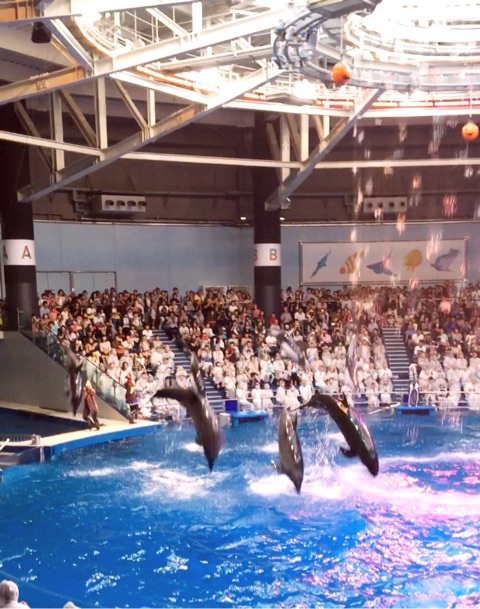 {3F8E9536-E99A-4B02-A0CF-14F2B2566771:01}