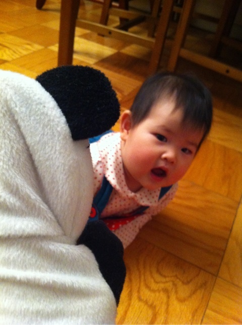 photo:04