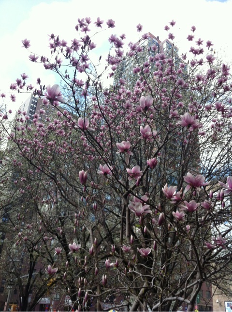 photo:01