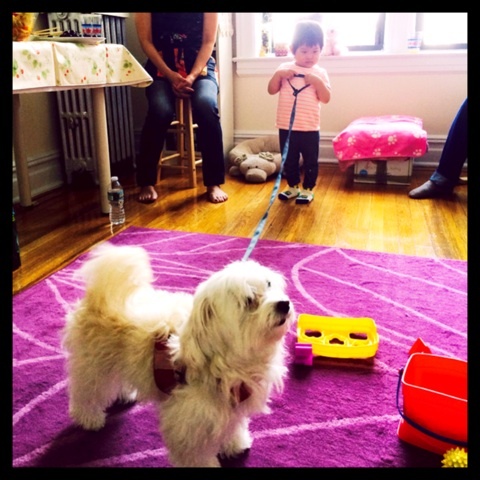 {141388DC-08DC-465E-AD58-C8B17688821E:01}