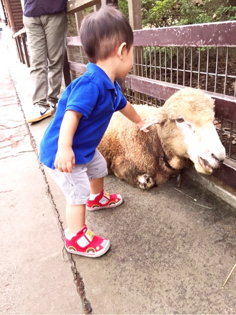 {917FD92A-35A8-422A-87C2-AD6088F91299:01}