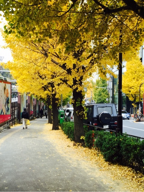 {D23C0236-703C-4198-8403-BE2D88671542:01}