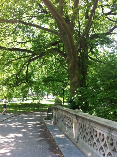 photo:04