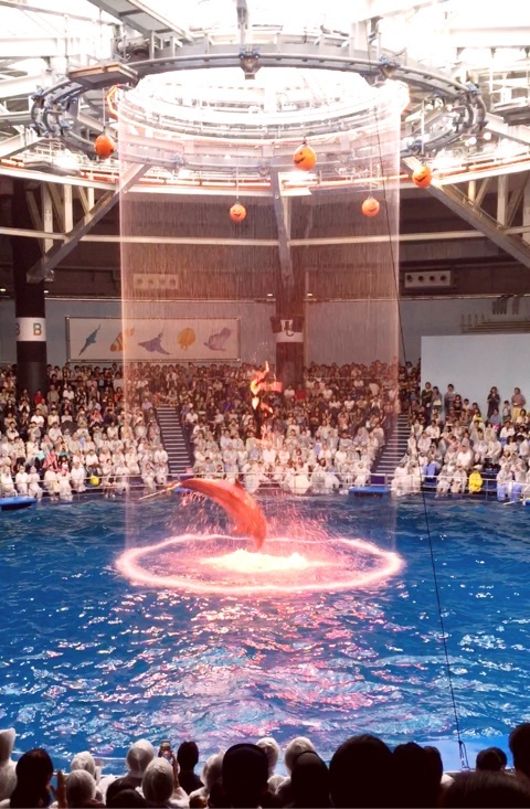 {2783AAFE-A776-4DB0-BC31-E9ED6CFE2A95:01}