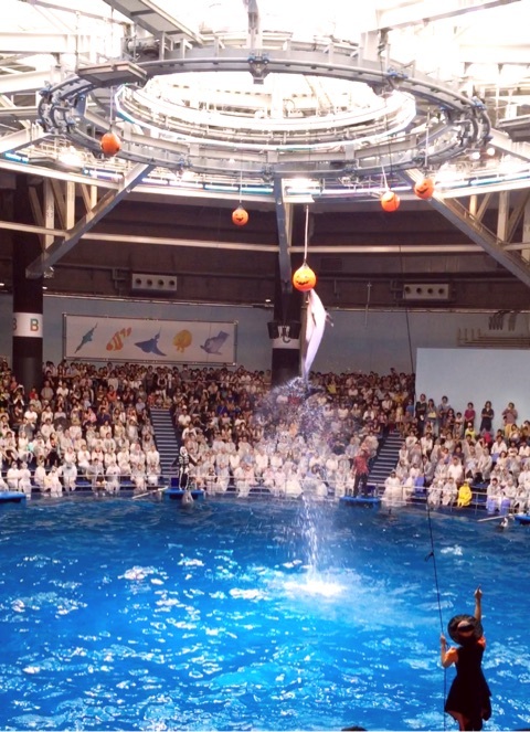 {BB42E970-53AD-43F5-BFE4-28A773B8B929:01}