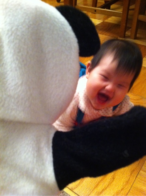 photo:05