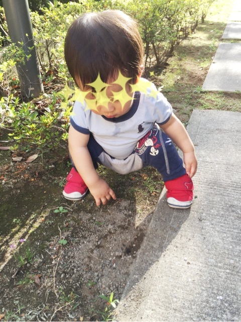 {2544E187-C2C1-4B9B-B37A-E82A6ED7C01A:01}