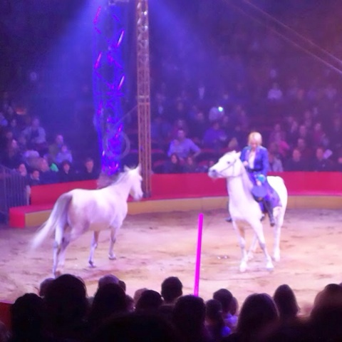 {10C2FAAB-8E65-4C61-A1DA-D7FF12F4C9ED:01}