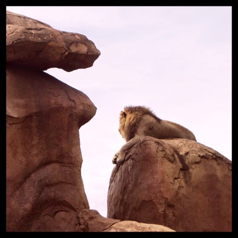 photo:03