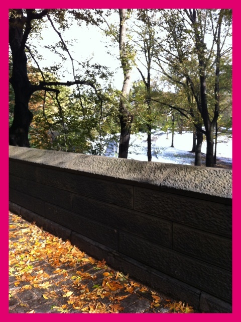 photo:02