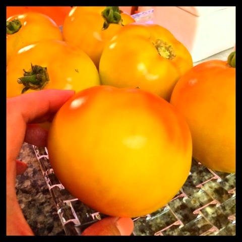 photo:01