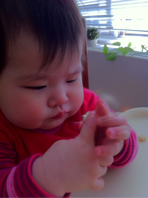 photo:02