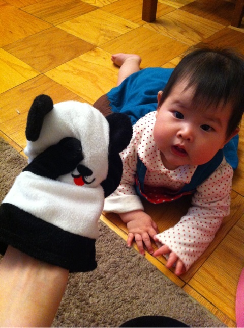 photo:06