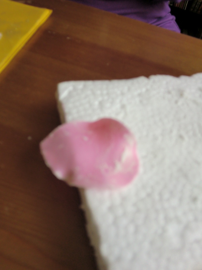 海保知里オフィシャルブログ「NYでなりゆ記」Powered by Ameba