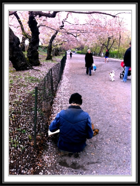 photo:02