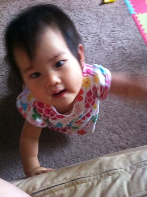 photo:01
