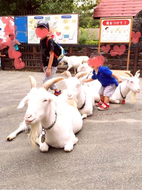 {3D6CD065-B8DC-4425-AF93-2576DE70427D:01}