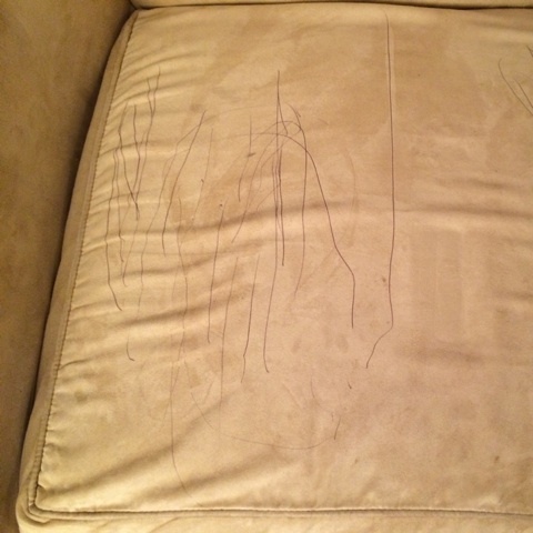 {6D393F8F-AB5F-4DA7-A077-BF678FF0D7CA:01}