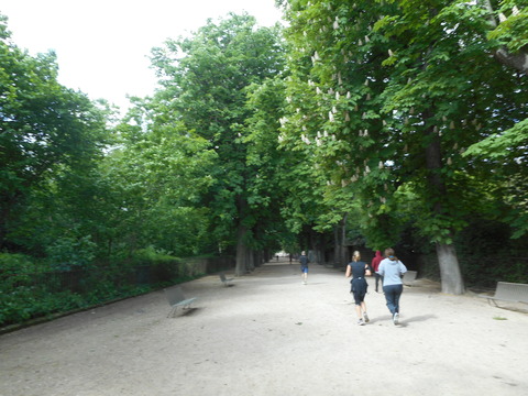 DSCN2226