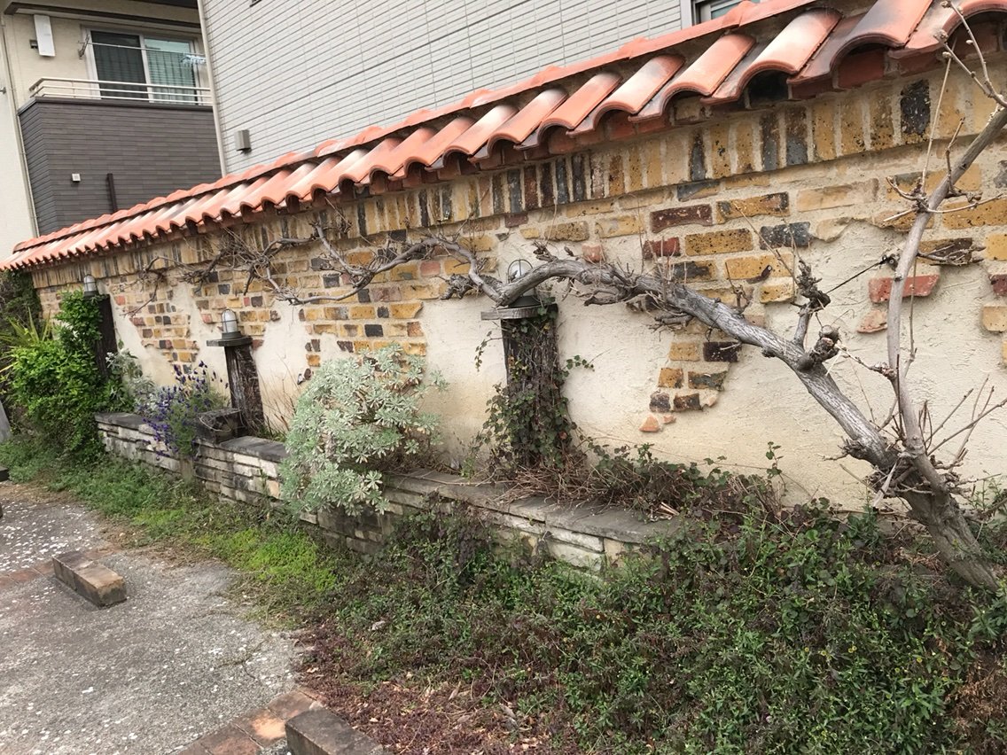 サラサヴィレッジカフェ In 松山市余戸中 日米学院マネージャーのブログ サラサヴィレッジカフェ In 松山市余戸中 日米学院マネージャーのブログ
