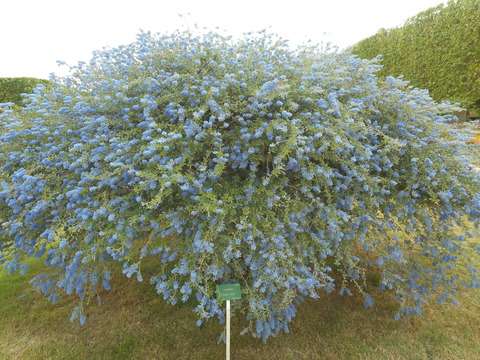 DSCN2243