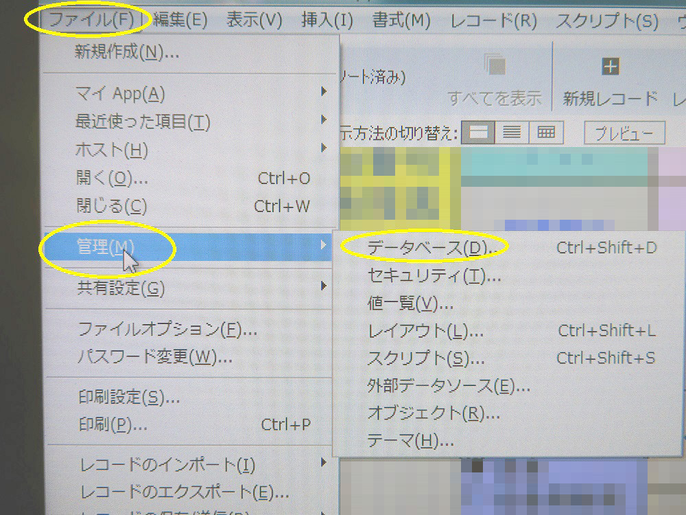 Filemakerで写真サイズを自動変換する方法 京都府 宇治市 いちのさか動物病院 長谷川先生とちーすけのブログ