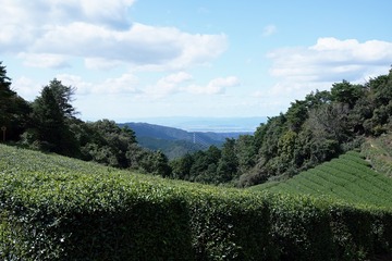 DSC00450