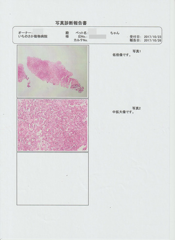 病理2