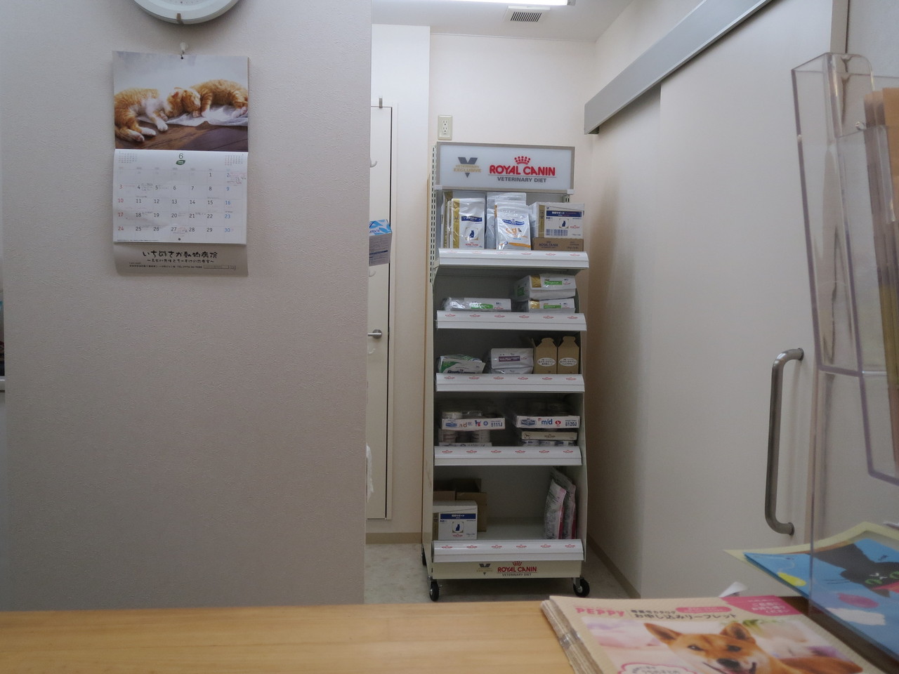 本の収納 京都府 宇治市 いちのさか動物病院 長谷川先生とちーすけのブログ