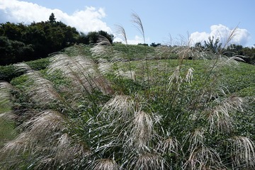 DSC00441