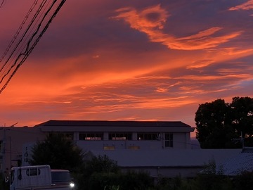 IMG_9682