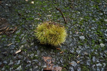 DSC00503