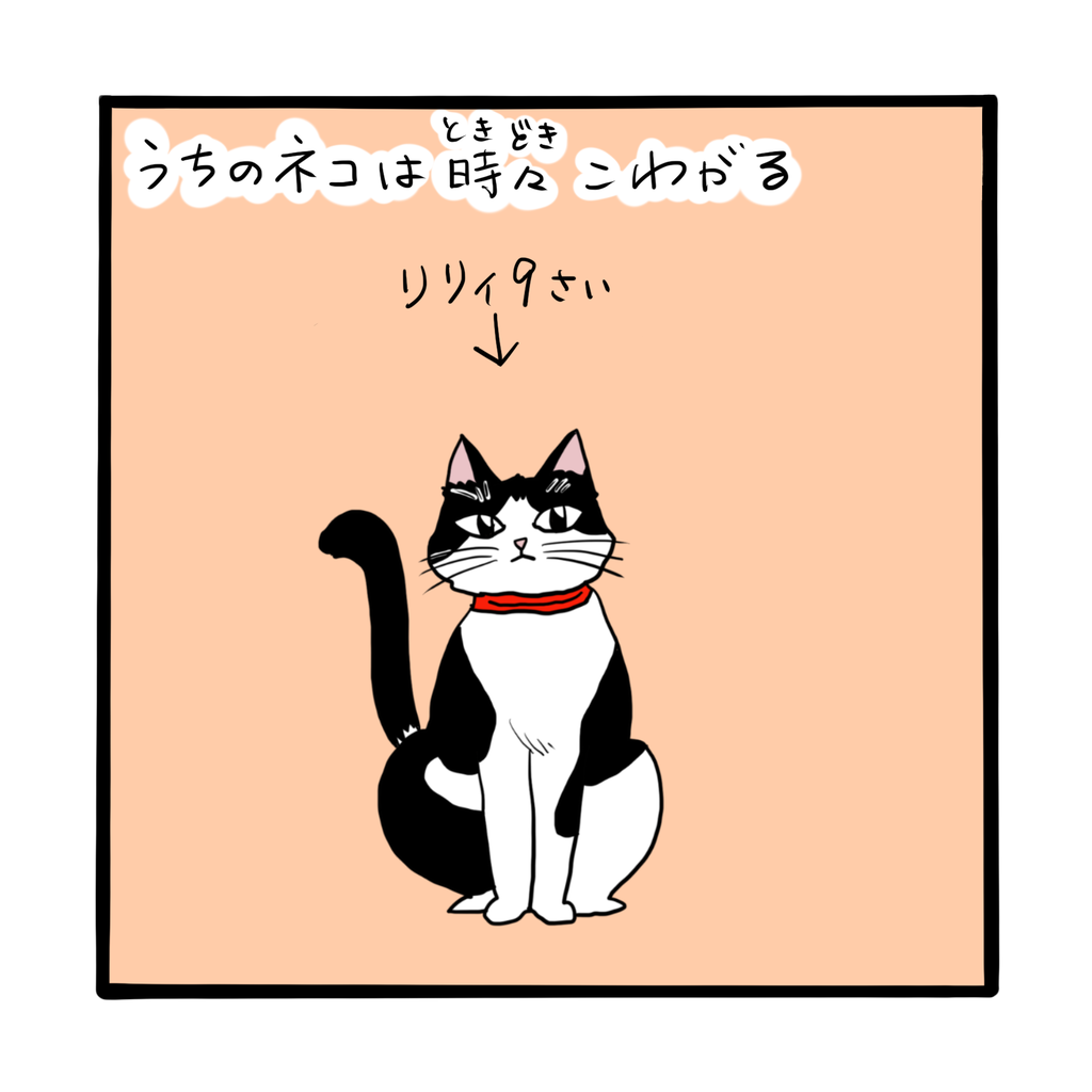 怖がる猫 ネコざんまい 怖がる猫 ネコざんまい