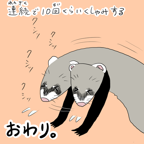 くしゃみ10