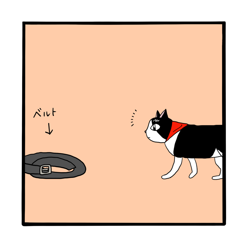 怖がる猫 ネコざんまい