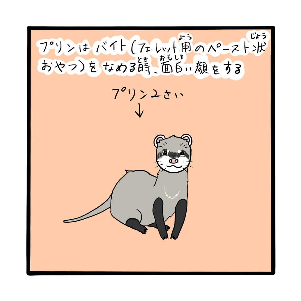 面白い顔 ネコざんまい