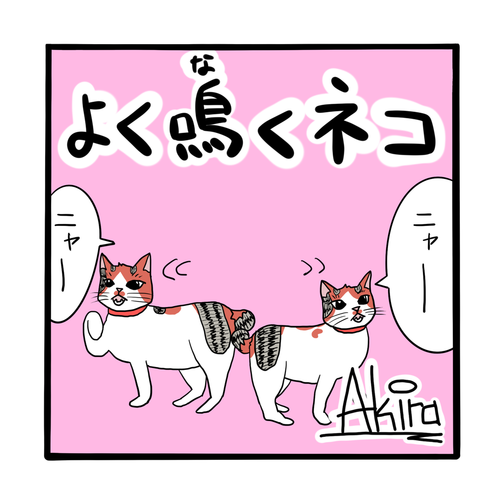よく鳴く猫 ネコざんまい よく鳴く猫 ネコざんまい