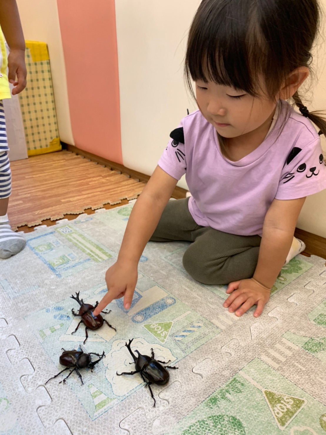 カブトムシ 野菜収穫 さっぽ Chita Gakuen